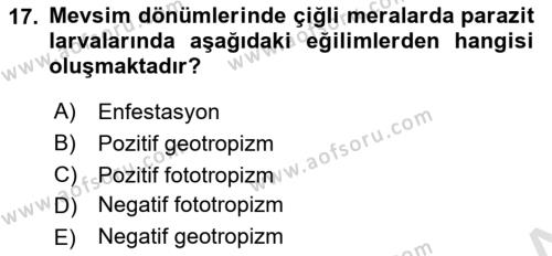 Temel Veteriner Parazitoloji Dersi 2020 - 2021 Yılı Yaz Okulu Sınavı 17. Soru