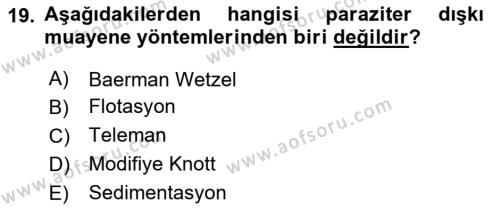 Temel Veteriner Parazitoloji Dersi 2020 - 2021 Yılı Yaz Okulu Sınavı 19. Soru