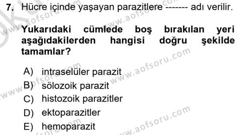 Temel Veteriner Parazitoloji Dersi 2020 - 2021 Yılı Yaz Okulu Sınavı 7. Soru