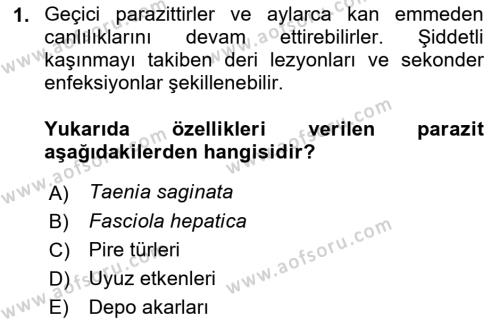 Temel Veteriner Parazitoloji Dersi 2021 - 2022 Yılı (Final) Dönem Sonu Sınavı 1. Soru