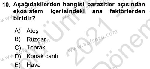 Temel Veteriner Parazitoloji Dersi 2021 - 2022 Yılı (Final) Dönem Sonu Sınavı 10. Soru