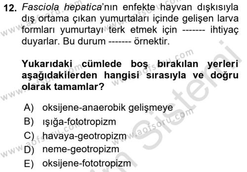 Temel Veteriner Parazitoloji Dersi 2021 - 2022 Yılı (Final) Dönem Sonu Sınavı 12. Soru