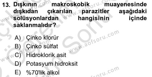 Temel Veteriner Parazitoloji Dersi 2021 - 2022 Yılı (Final) Dönem Sonu Sınavı 13. Soru