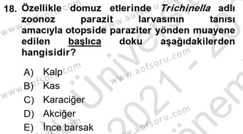 Temel Veteriner Parazitoloji Dersi 2021 - 2022 Yılı (Final) Dönem Sonu Sınavı 18. Soru