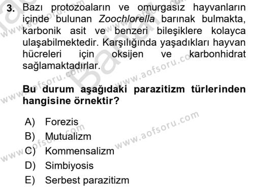 Temel Veteriner Parazitoloji Dersi 2021 - 2022 Yılı (Final) Dönem Sonu Sınavı 3. Soru