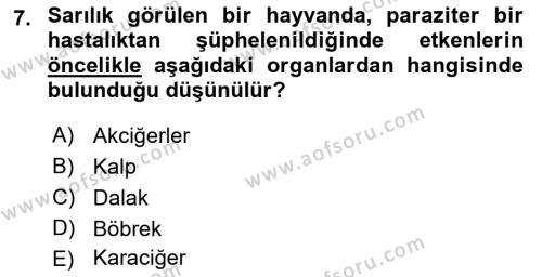 Temel Veteriner Parazitoloji Dersi 2021 - 2022 Yılı (Final) Dönem Sonu Sınavı 7. Soru