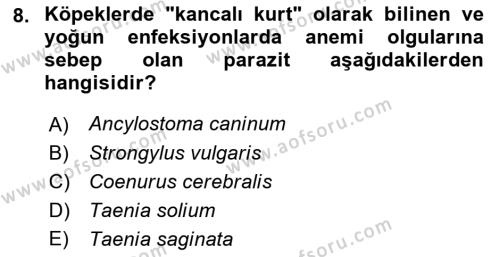 Temel Veteriner Parazitoloji Dersi 2021 - 2022 Yılı (Final) Dönem Sonu Sınavı 8. Soru