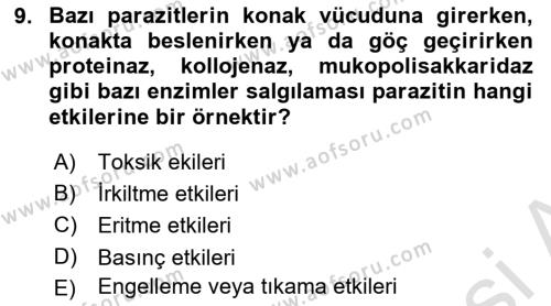 Temel Veteriner Parazitoloji Dersi 2021 - 2022 Yılı (Final) Dönem Sonu Sınavı 9. Soru