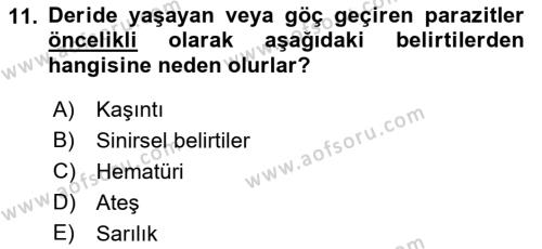 Temel Veteriner Parazitoloji Dersi 2021 - 2022 Yılı Yaz Okulu Sınavı 11. Soru