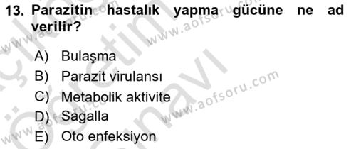 Temel Veteriner Parazitoloji Dersi 2021 - 2022 Yılı Yaz Okulu Sınavı 13. Soru