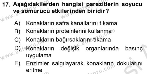 Temel Veteriner Parazitoloji Dersi 2021 - 2022 Yılı Yaz Okulu Sınavı 17. Soru