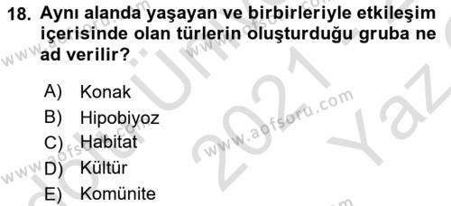 Temel Veteriner Parazitoloji Dersi 2021 - 2022 Yılı Yaz Okulu Sınavı 18. Soru