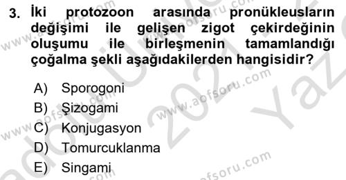 Temel Veteriner Parazitoloji Dersi 2021 - 2022 Yılı Yaz Okulu Sınavı 3. Soru