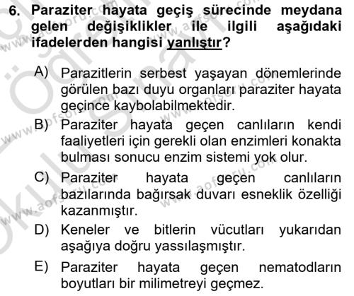 Temel Veteriner Parazitoloji Dersi 2021 - 2022 Yılı Yaz Okulu Sınavı 6. Soru