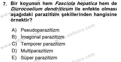 Temel Veteriner Parazitoloji Dersi 2021 - 2022 Yılı Yaz Okulu Sınavı 7. Soru