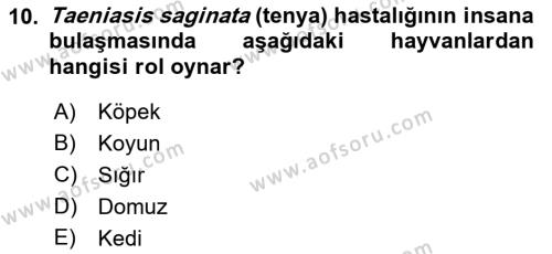 Temel Veteriner Parazitoloji Dersi 2022 - 2023 Yılı Yaz Okulu Sınavı 10. Soru