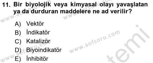 Temel Veteriner Parazitoloji Dersi 2022 - 2023 Yılı Yaz Okulu Sınavı 11. Soru