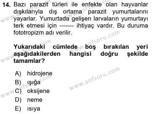 Temel Veteriner Parazitoloji Dersi 2022 - 2023 Yılı Yaz Okulu Sınavı 14. Soru