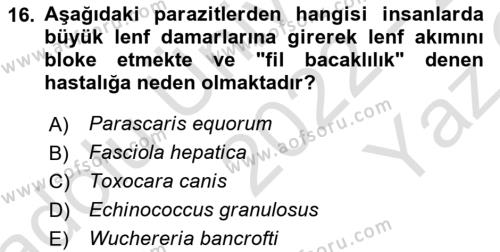 Temel Veteriner Parazitoloji Dersi 2022 - 2023 Yılı Yaz Okulu Sınavı 16. Soru