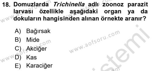 Temel Veteriner Parazitoloji Dersi 2022 - 2023 Yılı Yaz Okulu Sınavı 18. Soru