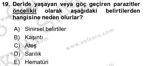 Temel Veteriner Parazitoloji Dersi 2022 - 2023 Yılı Yaz Okulu Sınavı 19. Soru