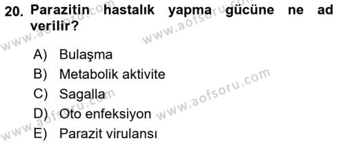 Temel Veteriner Parazitoloji Dersi 2022 - 2023 Yılı Yaz Okulu Sınavı 20. Soru