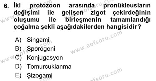 Temel Veteriner Parazitoloji Dersi 2022 - 2023 Yılı Yaz Okulu Sınavı 6. Soru