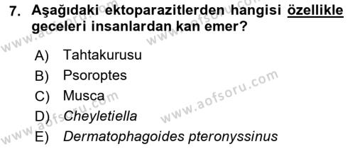 Temel Veteriner Parazitoloji Dersi 2022 - 2023 Yılı Yaz Okulu Sınavı 7. Soru