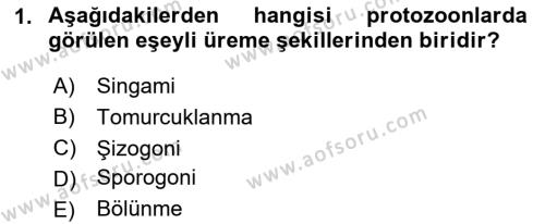 Temel Veteriner Parazitoloji Dersi 2023 - 2024 Yılı (Vize) Ara Sınavı 1. Soru