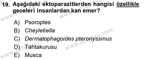 Temel Veteriner Parazitoloji Dersi 2023 - 2024 Yılı (Vize) Ara Sınavı 19. Soru