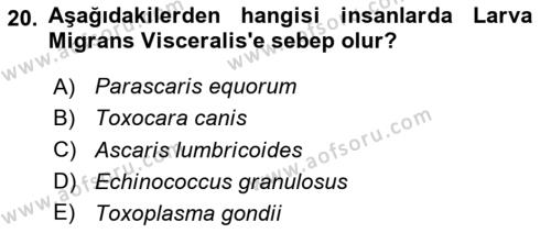 Temel Veteriner Parazitoloji Dersi 2023 - 2024 Yılı (Vize) Ara Sınavı 20. Soru