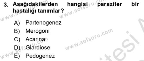 Temel Veteriner Parazitoloji Dersi 2023 - 2024 Yılı (Vize) Ara Sınavı 3. Soru