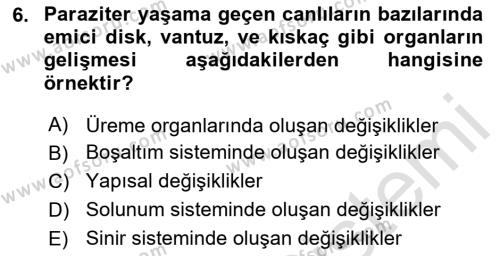 Temel Veteriner Parazitoloji Dersi 2023 - 2024 Yılı (Vize) Ara Sınavı 6. Soru