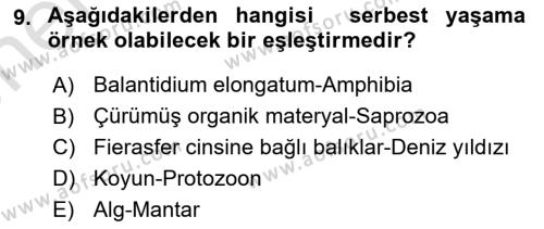 Temel Veteriner Parazitoloji Dersi 2023 - 2024 Yılı (Vize) Ara Sınavı 9. Soru