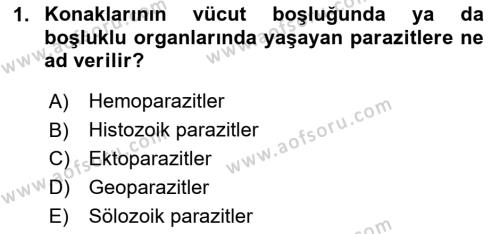 Temel Veteriner Parazitoloji Dersi 2023 - 2024 Yılı (Final) Dönem Sonu Sınavı 1. Soru