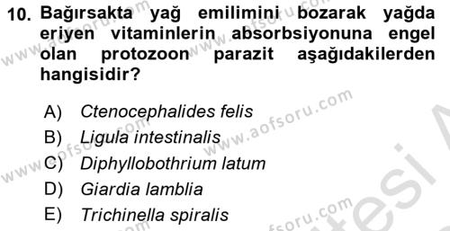 Temel Veteriner Parazitoloji Dersi 2023 - 2024 Yılı (Final) Dönem Sonu Sınavı 10. Soru