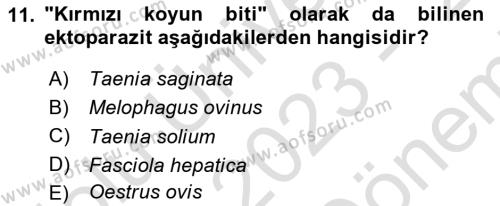 Temel Veteriner Parazitoloji Dersi 2023 - 2024 Yılı (Final) Dönem Sonu Sınavı 11. Soru