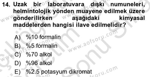 Temel Veteriner Parazitoloji Dersi 2023 - 2024 Yılı (Final) Dönem Sonu Sınavı 14. Soru