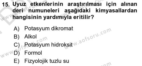 Temel Veteriner Parazitoloji Dersi 2023 - 2024 Yılı (Final) Dönem Sonu Sınavı 15. Soru