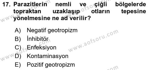 Temel Veteriner Parazitoloji Dersi 2023 - 2024 Yılı (Final) Dönem Sonu Sınavı 17. Soru