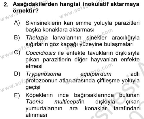 Temel Veteriner Parazitoloji Dersi 2023 - 2024 Yılı (Final) Dönem Sonu Sınavı 2. Soru