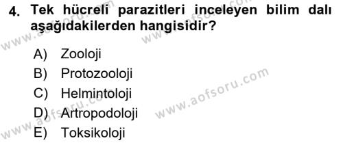 Temel Veteriner Parazitoloji Dersi 2023 - 2024 Yılı (Final) Dönem Sonu Sınavı 4. Soru