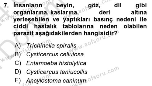 Temel Veteriner Parazitoloji Dersi 2023 - 2024 Yılı (Final) Dönem Sonu Sınavı 7. Soru