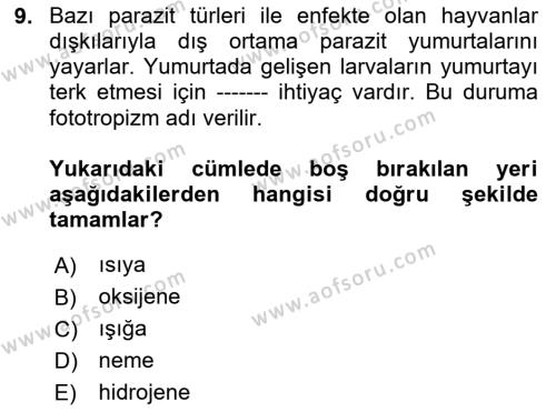 Temel Veteriner Parazitoloji Dersi 2023 - 2024 Yılı (Final) Dönem Sonu Sınavı 9. Soru