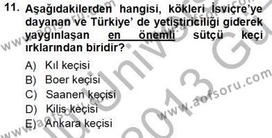 Temel Zootekni Dersi 2012 - 2013 Yılı (Vize) Ara Sınavı 11. Soru