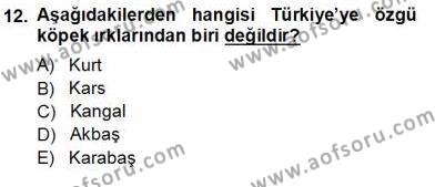 Temel Zootekni Dersi 2012 - 2013 Yılı (Vize) Ara Sınavı 12. Soru