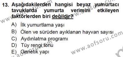 Temel Zootekni Dersi 2012 - 2013 Yılı (Vize) Ara Sınavı 13. Soru