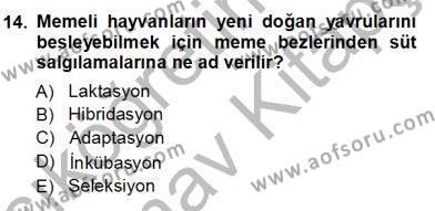 Temel Zootekni Dersi 2012 - 2013 Yılı (Vize) Ara Sınavı 14. Soru