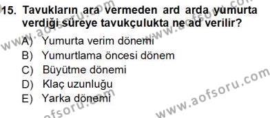 Temel Zootekni Dersi 2012 - 2013 Yılı (Vize) Ara Sınavı 15. Soru