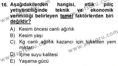 Temel Zootekni Dersi 2012 - 2013 Yılı (Vize) Ara Sınavı 16. Soru